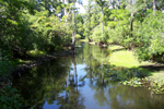 Another shot of the back of the hillsborough river